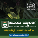 DMC Bank Brochure